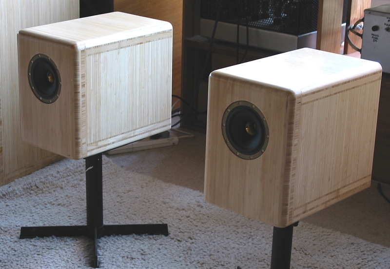 Tannoy-picture-125mm-dcx2-Foster3.jpg
