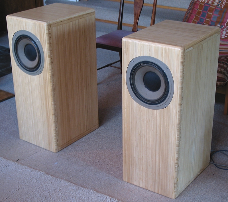 Tannoy-picture-250mm-dcx2-Foster5.jpg